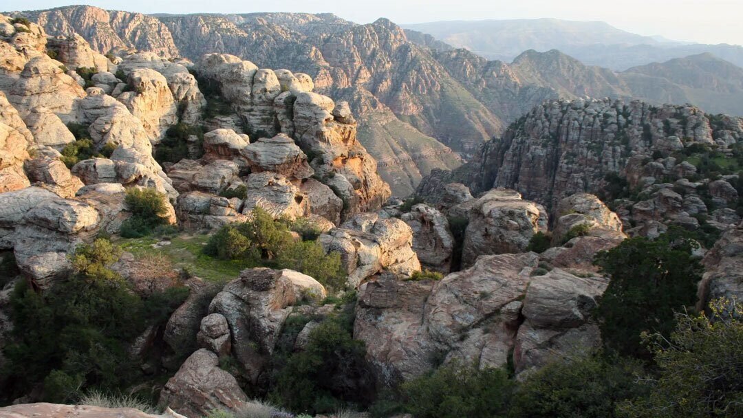 Dana Biosphere Reserve landscape