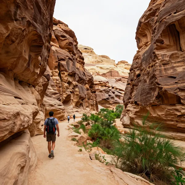 3 Day Private Jordan Discovery: Petra, Wadi Rum, Mt.Nebo, Dana, Red & Dead Seas